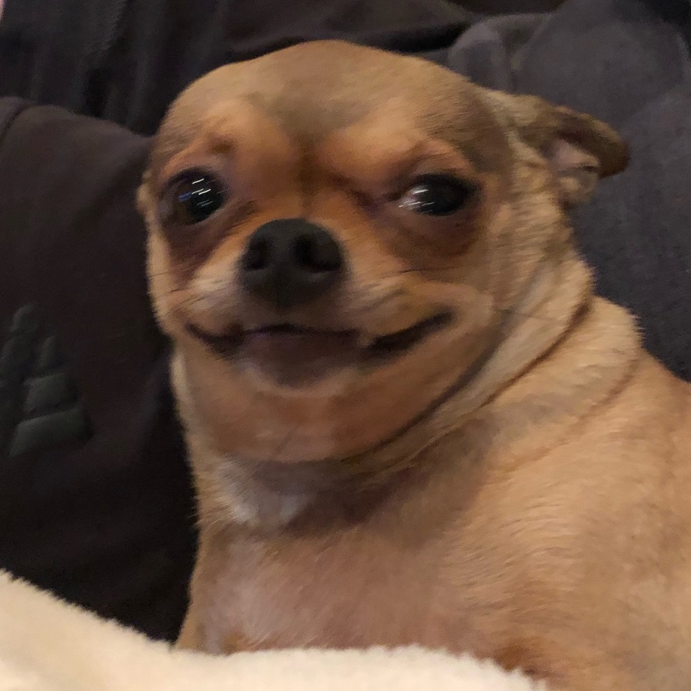 Meet your Posher, Justin